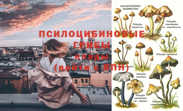 синтетический гашиш Зеленодольск